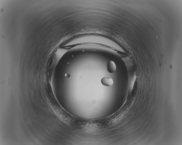 X0000086060256200703301048