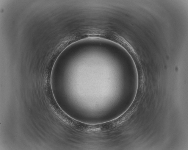 X0000086060257200703301048