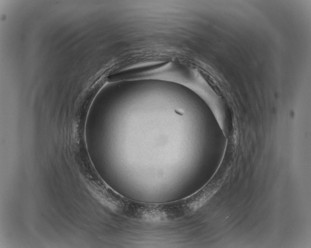 X0000086060258200703301048