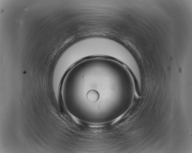 X0000086060260200703301048