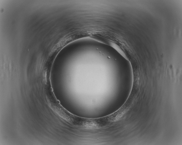 X0000086060262200703301048