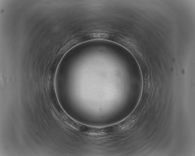 X0000086060263200703301048