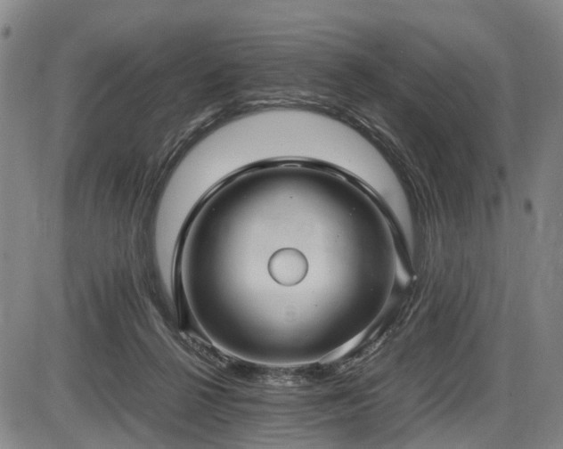 X0000086060264200703301048