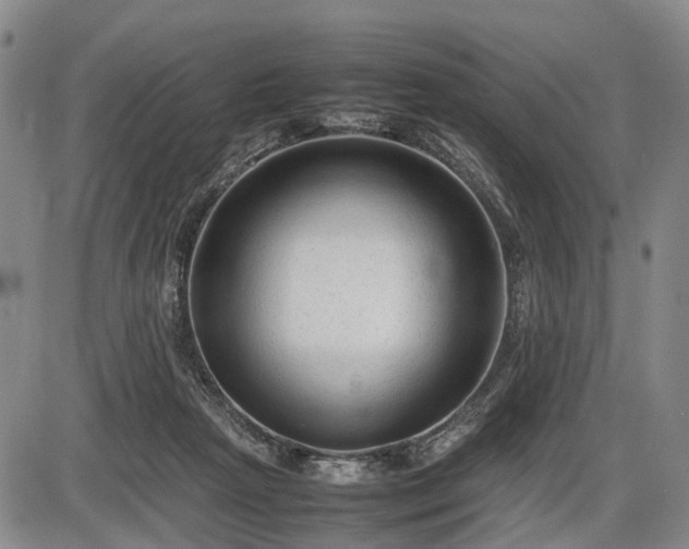 X0000086060265200703301048