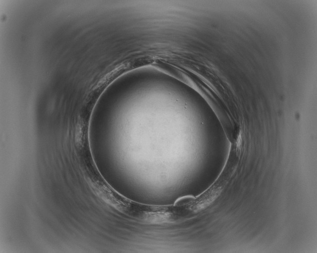 X0000086060266200703301048