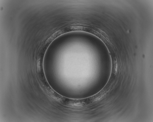 X0000086060267200703301048