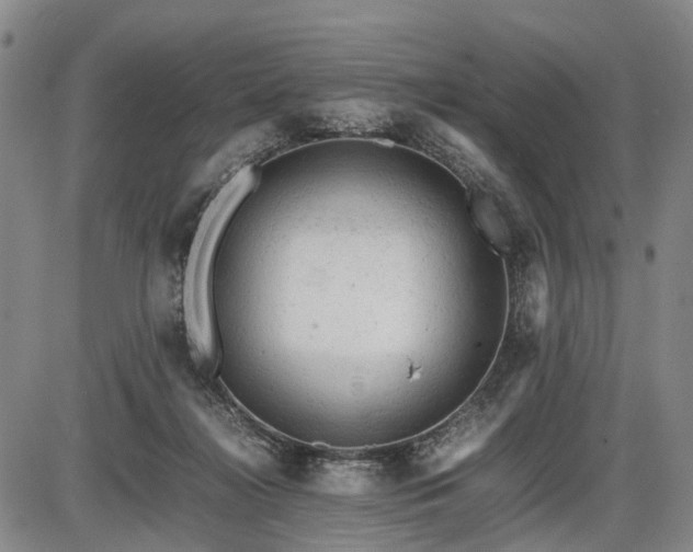 X0000086060268200703301048