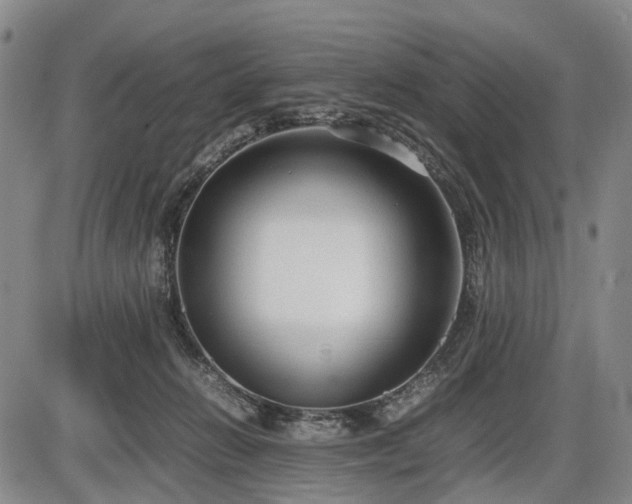 X0000086060270200703301048