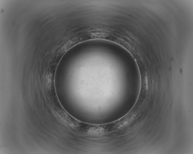 X0000086060271200703301048