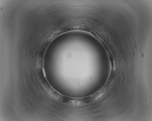 X0000086060272200703301048