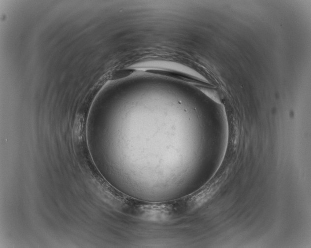 X0000086060273200703301048