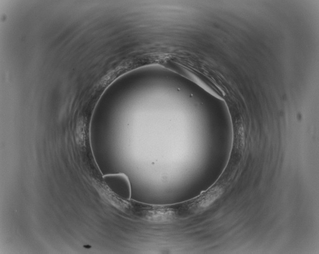 X0000086060274200703301048