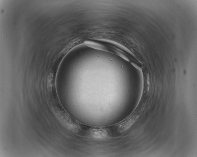 X0000086060275200703301048