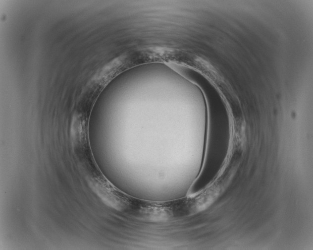 X0000086060276200703301048