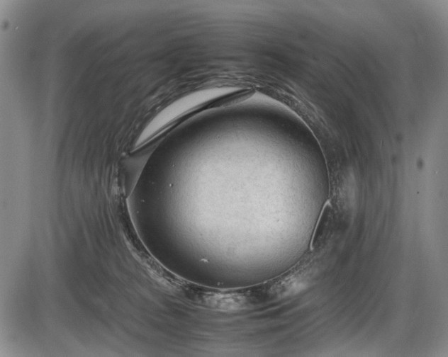 X0000086060277200703301048