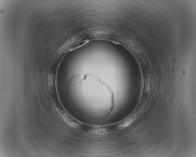 X0000086060278200703301048