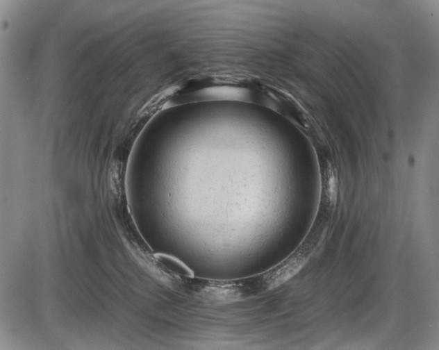 X0000086060280200703301048