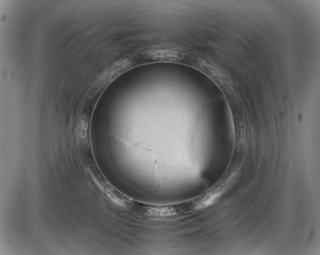 X0000086060281200703301048