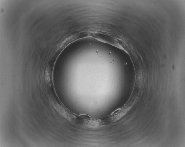 X0000086060282200703301048