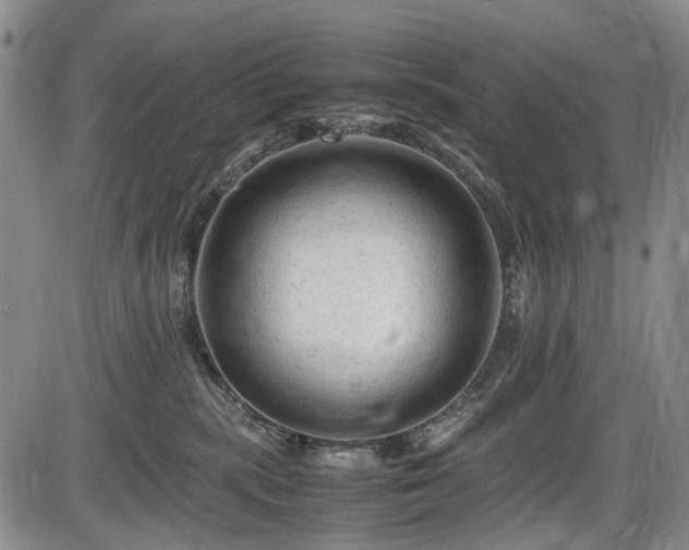 X0000086060283200703301049