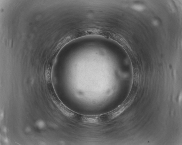 X0000086060285200703301049