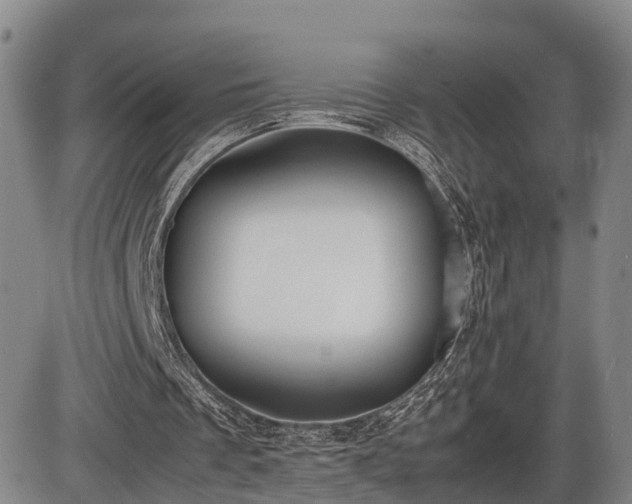 X0000086060289200703301048