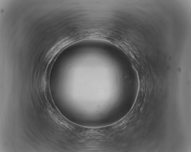 X0000086060290200703301048