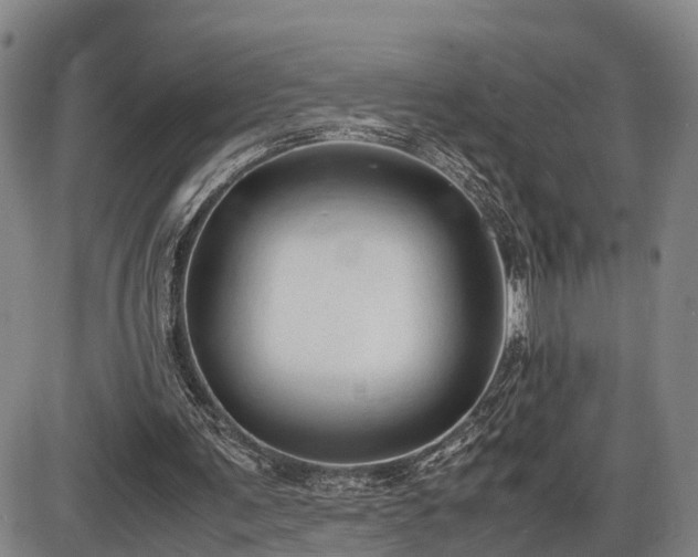 X0000086060291200703301048