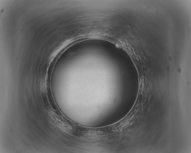 X0000086060292200703301048