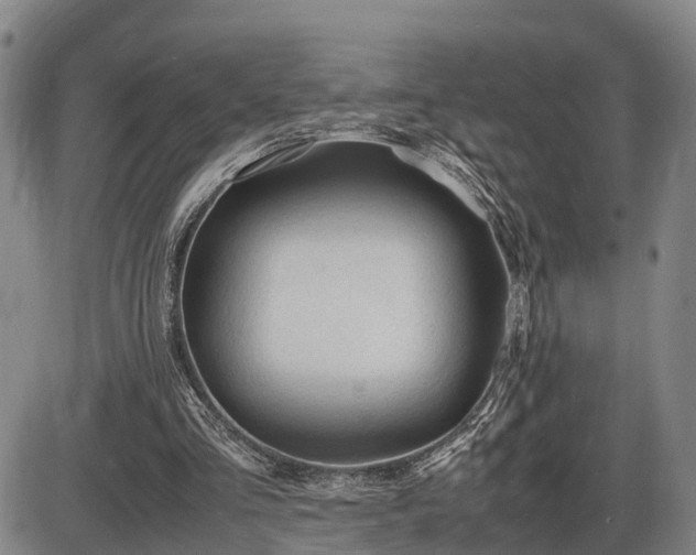 X0000086060293200703301048