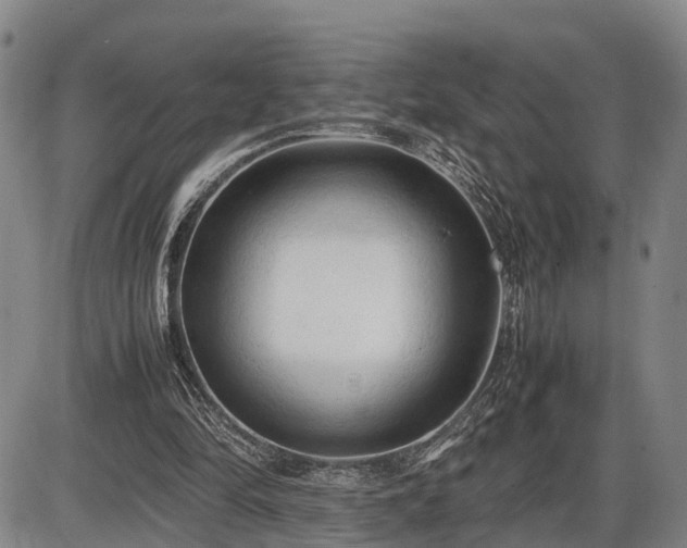 X0000086060294200703301048