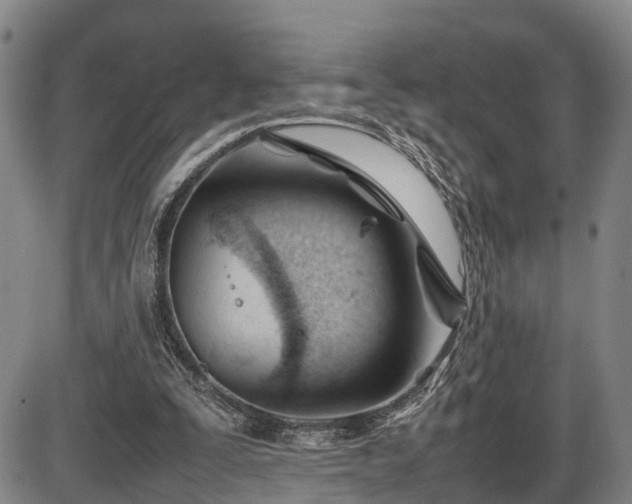 X0000086060295200703301048