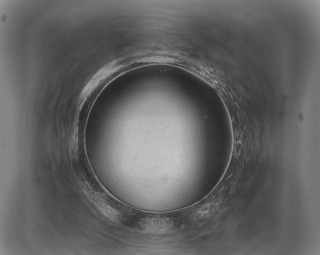 X0000086060296200703301048