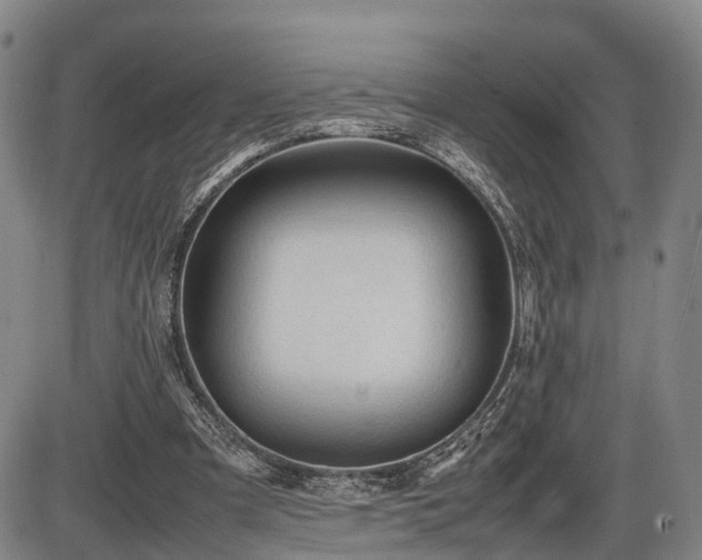 X0000086060297200703301048