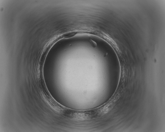 X0000086060298200703301048