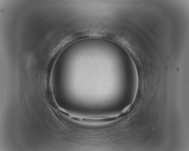 X0000086060299200703301048