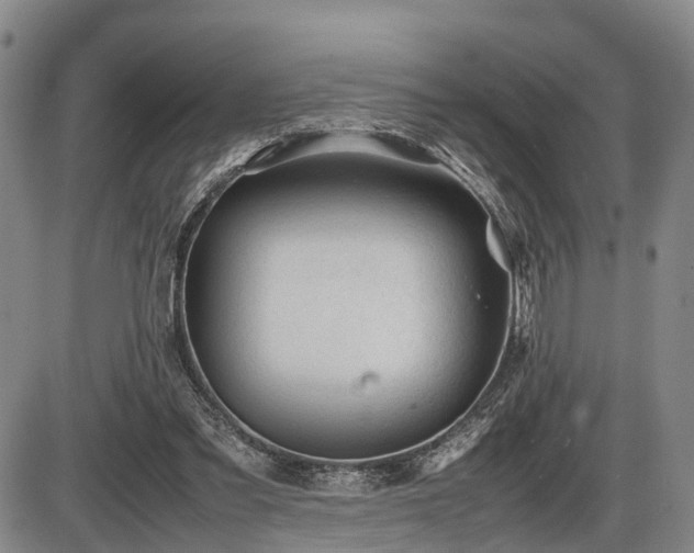 X0000086060301200703301048