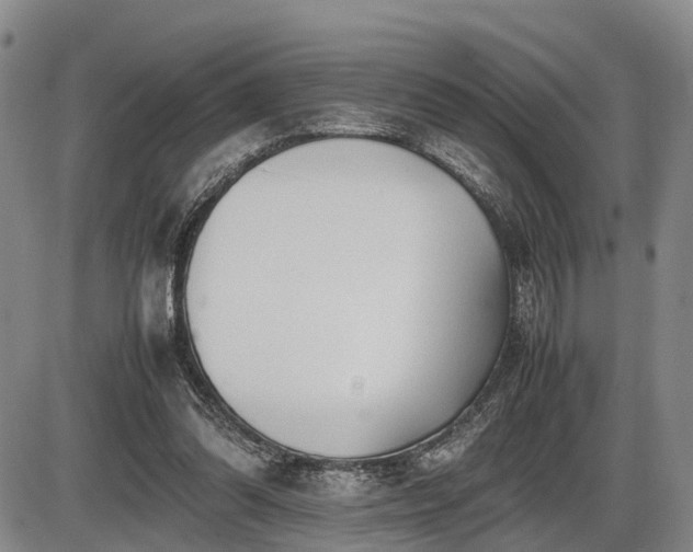 X0000086060302200703301048