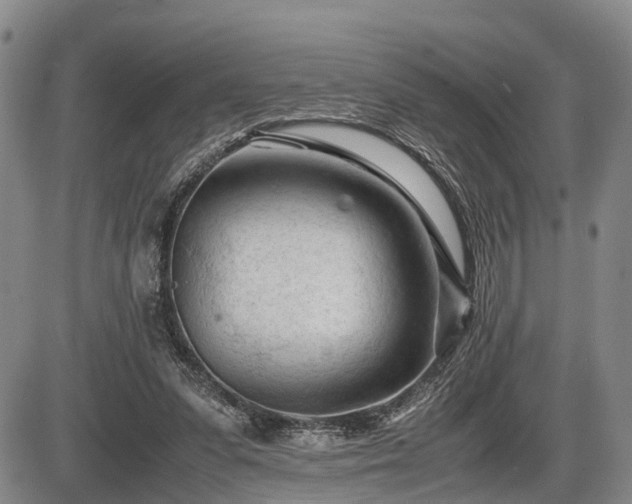 X0000086060303200703301048