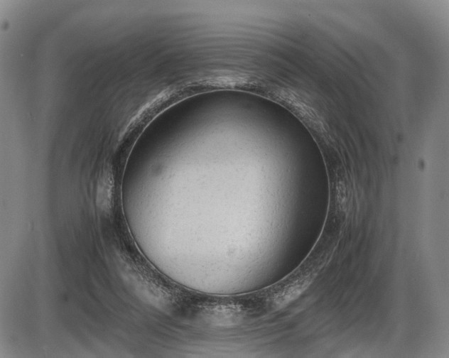 X0000086060304200703301048