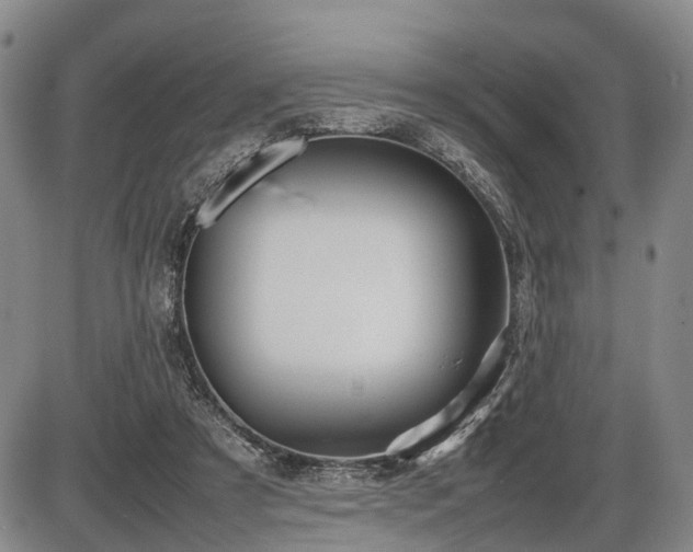 X0000086060305200703301048