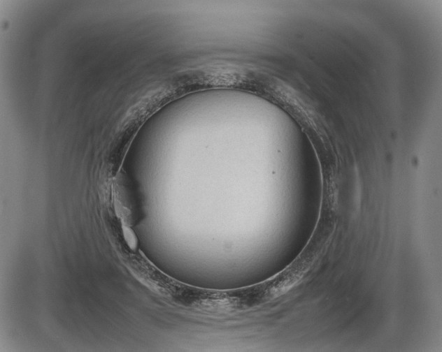 X0000086060307200703301047