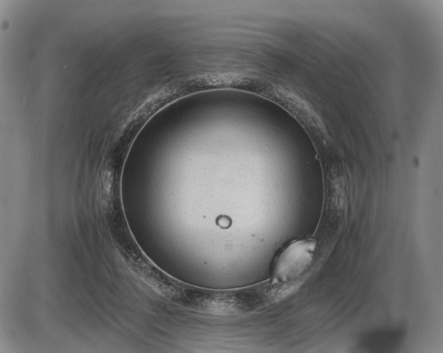 X0000086060308200703301047