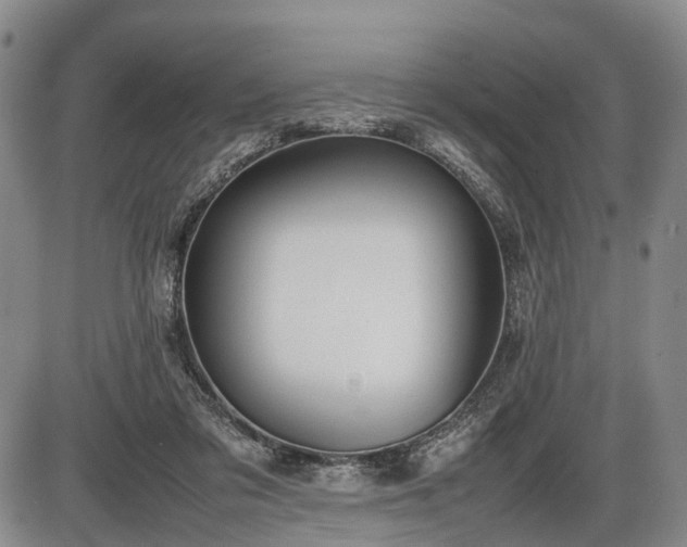 X0000086060309200703301047