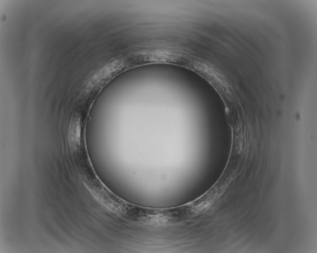 X0000086060310200703301047