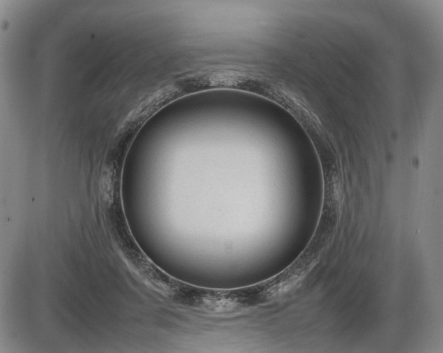 X0000086060311200703301047