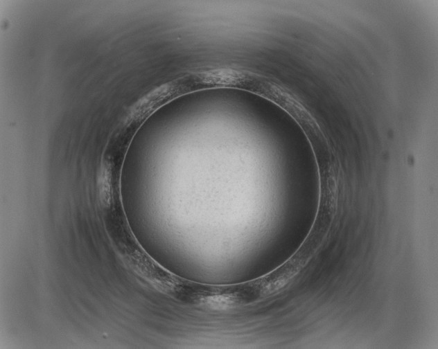 X0000086060312200703301047