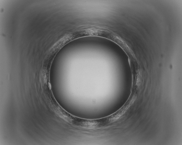 X0000086060313200703301047