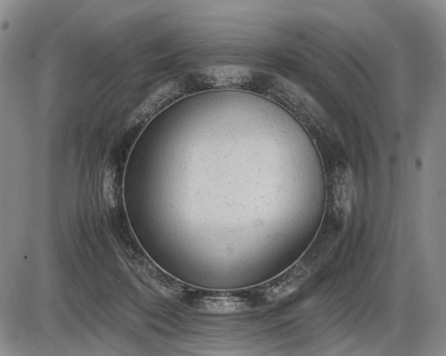 X0000086060316200703301047