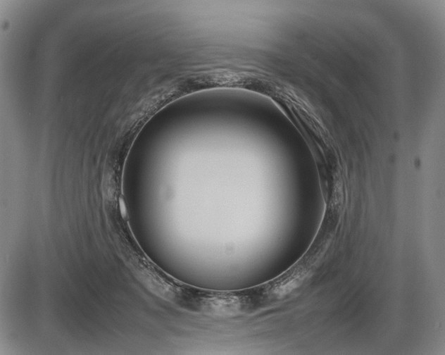 X0000086060317200703301047